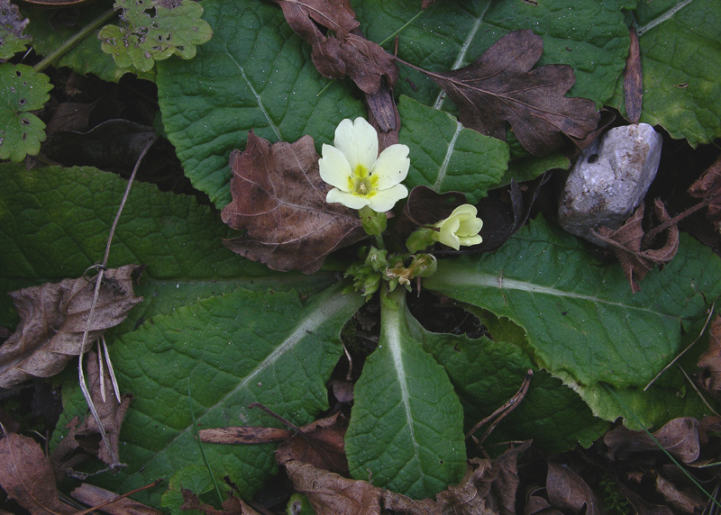 Facili,meno facili...per allenamento...